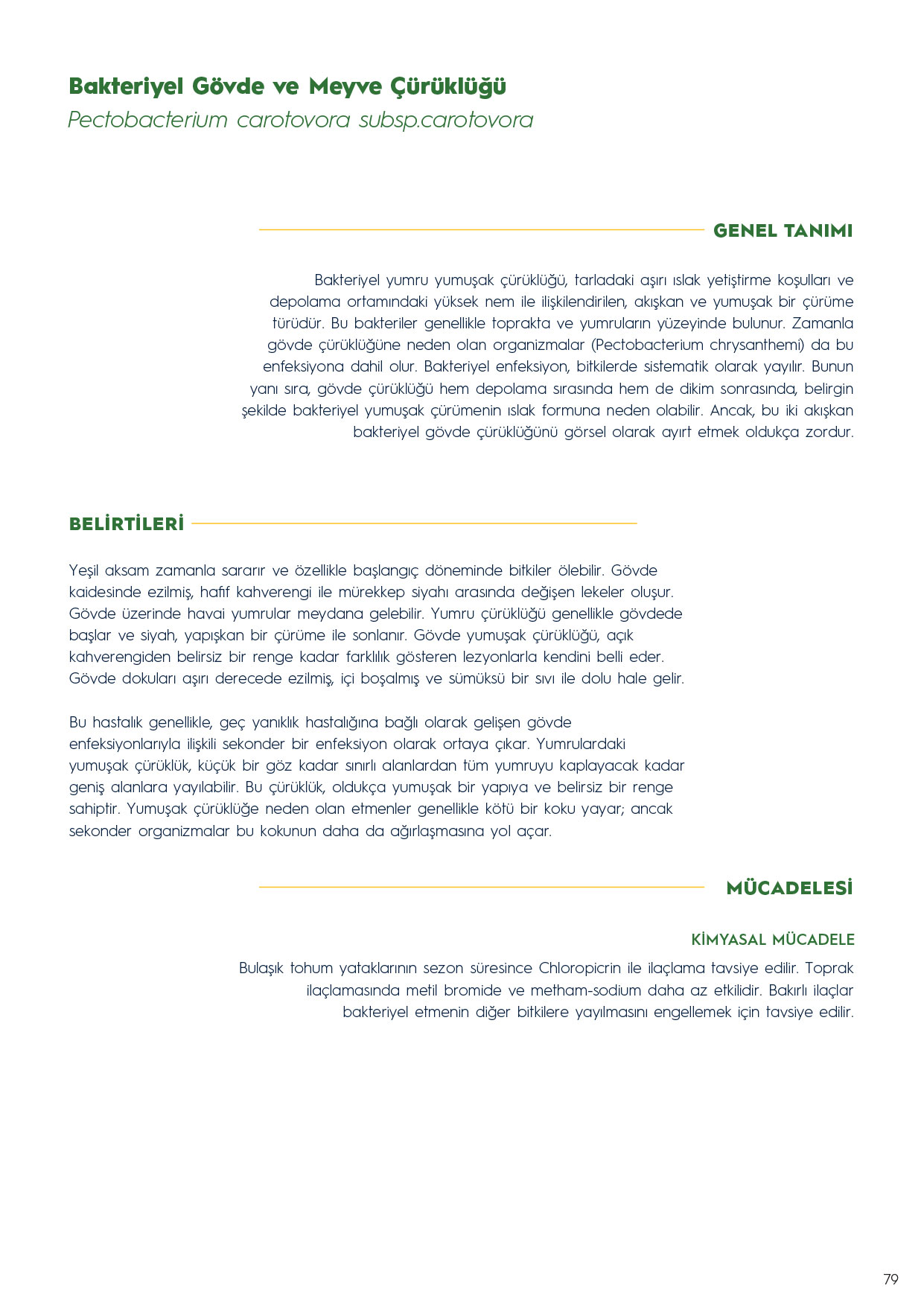 Sayfa 79